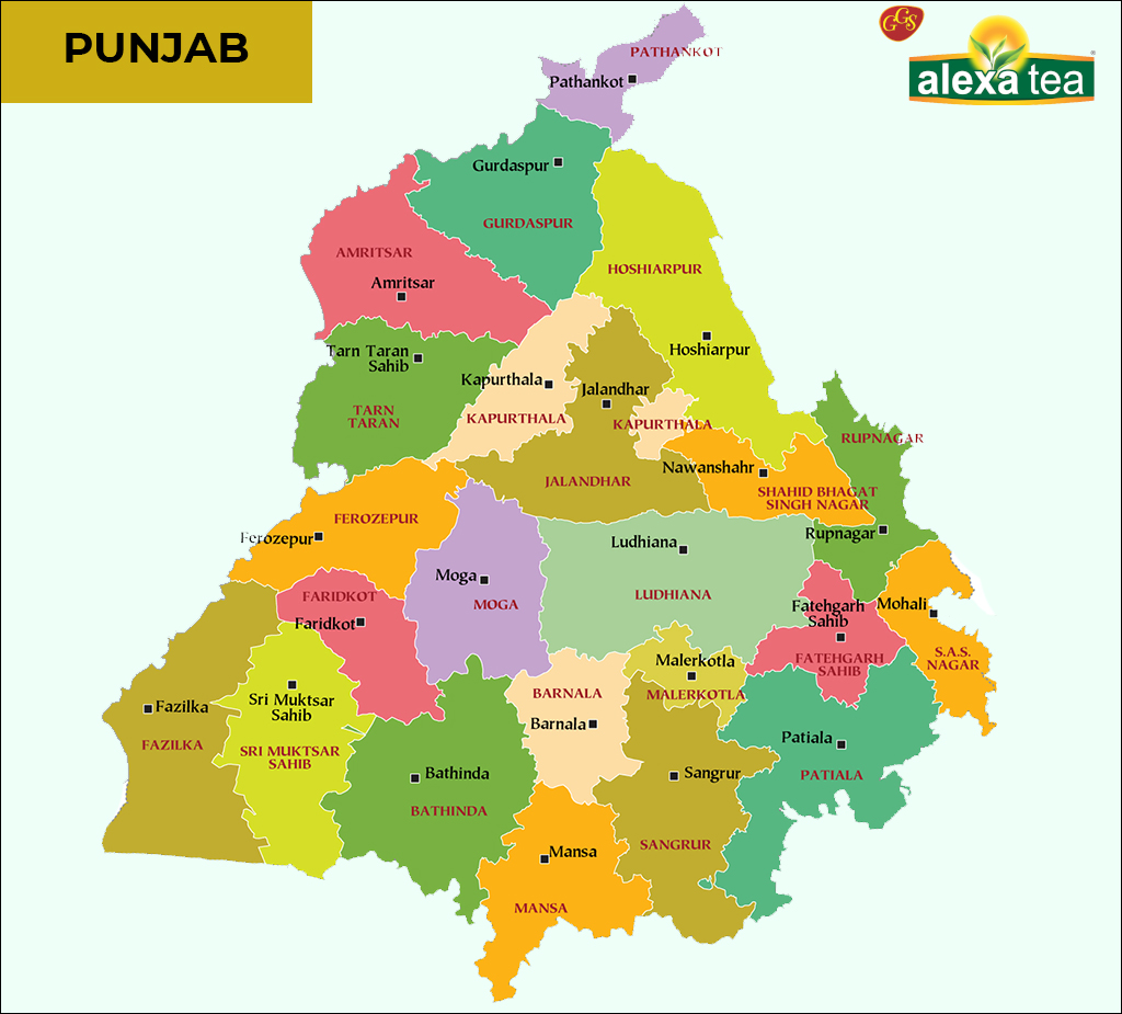 Tea Manufacturers in Punjab