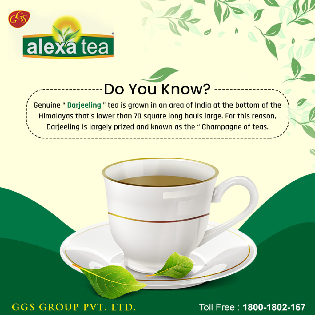 Types Of Tea In India