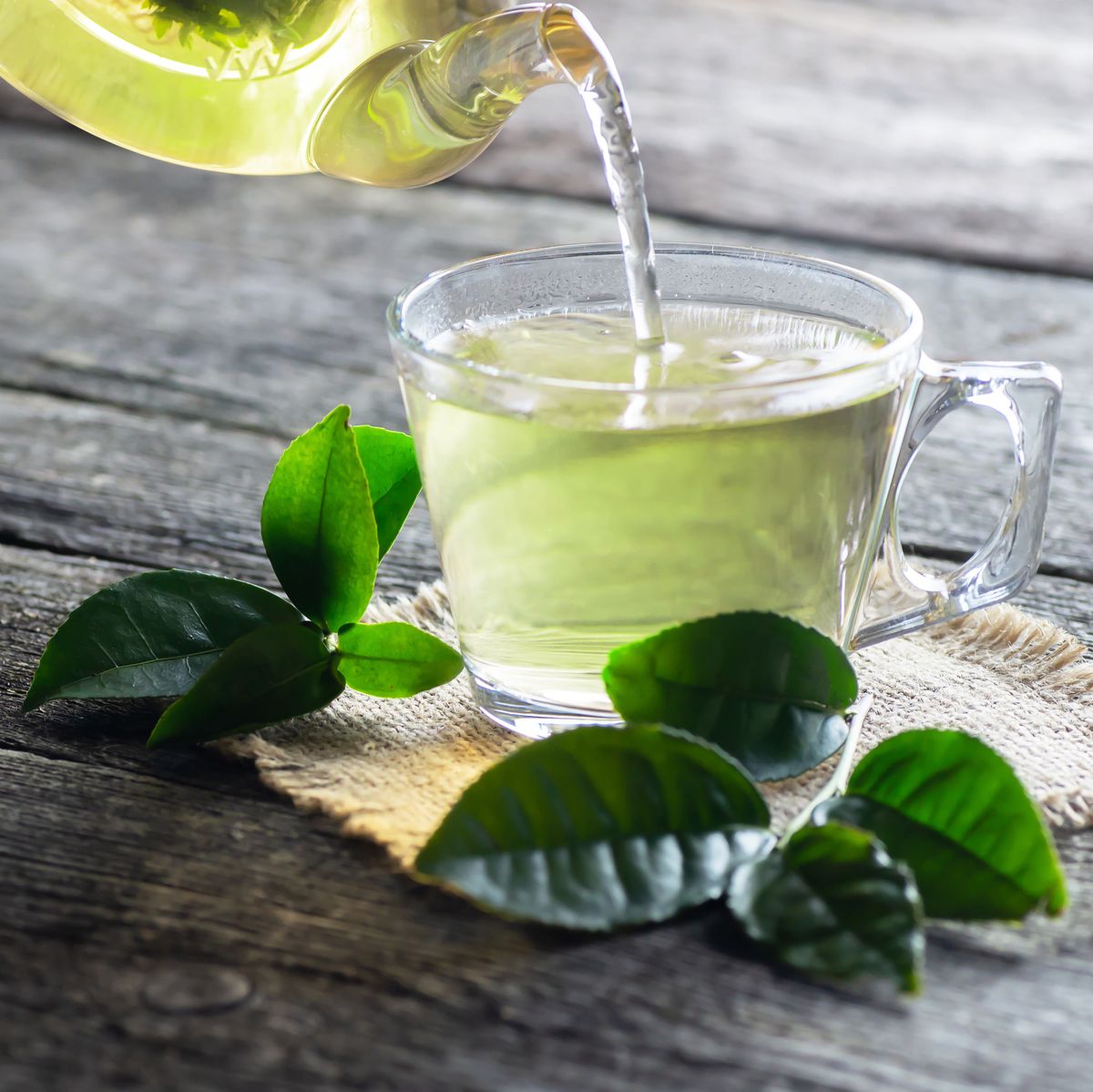  which green tea is best for weight loss 