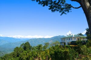 Glenburn Tea Estate, West Bengal