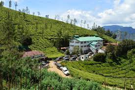 Kolukkumalai Tea Estate, Tamil Nadu 