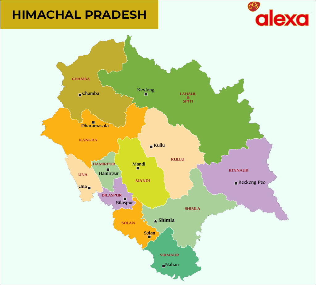 Tea Manufacturers in Himachal Pradesh