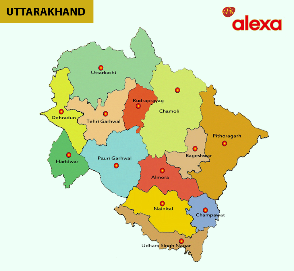 Tea Manufacturers in Uttarakhand