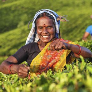 Tea Franchise Investment Under 5 lakh